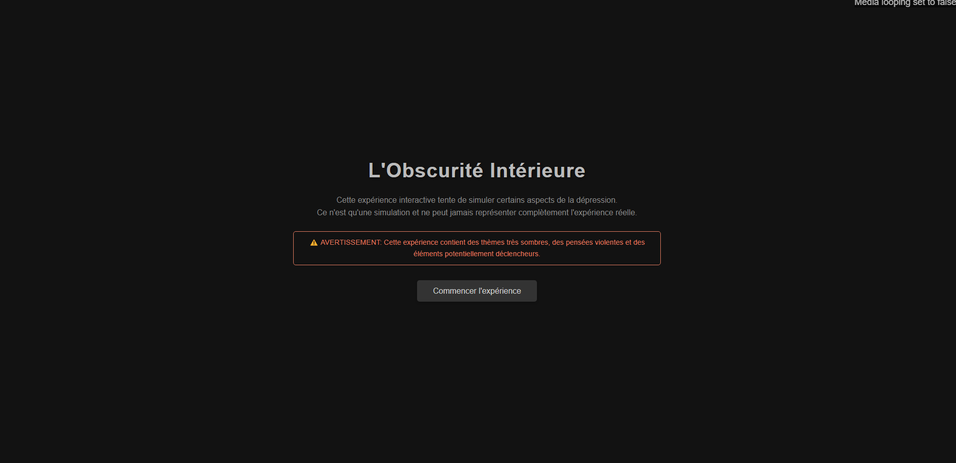 Expérience Interactive